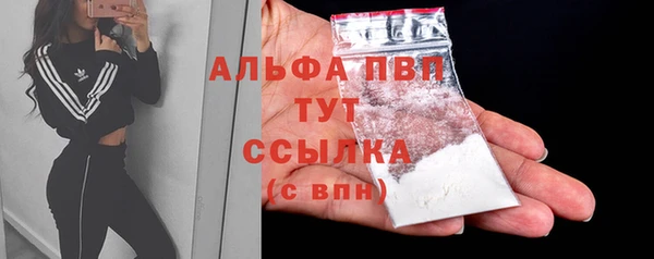 спайс Кодинск