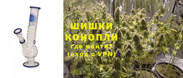 ALPHA PVP Козельск