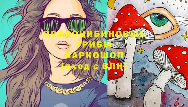 mix Туринск