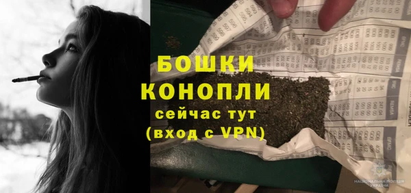 дживик Кинешма